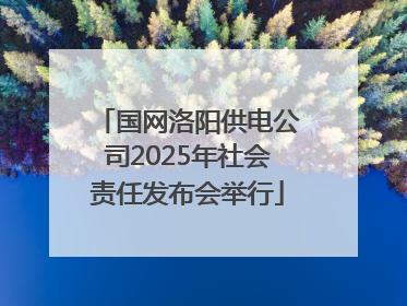 国网洛阳供电公司2025年社会责任发布会举行
