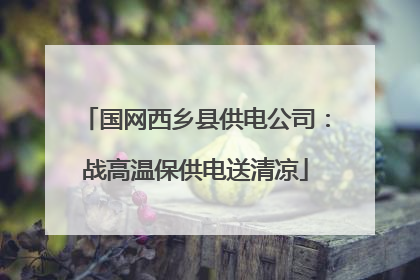 国网西乡县供电公司：战高温保供电送清凉