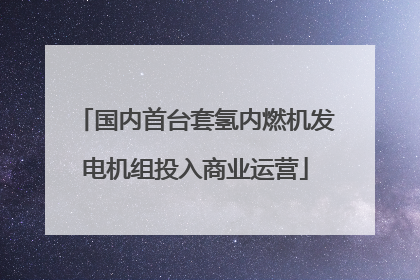 国内首台套氢内燃机发电机组投入商业运营
