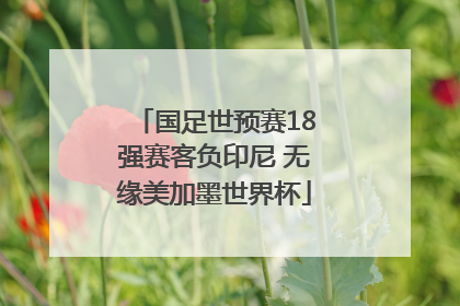 国足世预赛18强赛客负印尼 无缘美加墨世界杯