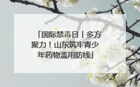 国际禁毒日丨多方聚力！山东筑牢青少年药物滥用防线