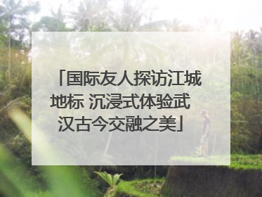 国际友人探访江城地标 沉浸式体验武汉古今交融之美