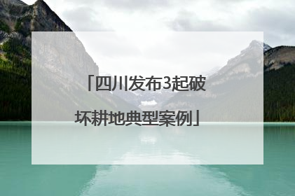 四川发布3起破坏耕地典型案例
