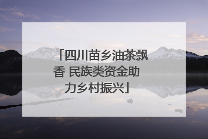 四川苗乡油茶飘香 民族类资金助力乡村振兴