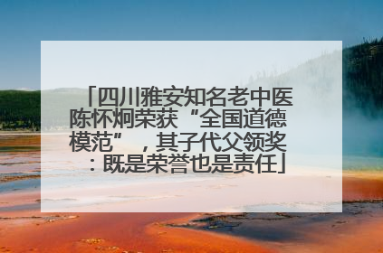四川雅安知名老中医陈怀炯荣获“全国道德模范”，其子代父领奖：既是荣誉也是责任