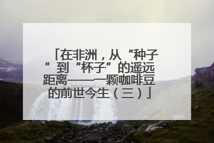 在非洲，从“种子”到“杯子”的遥远距离——一颗咖啡豆的前世今生（三）