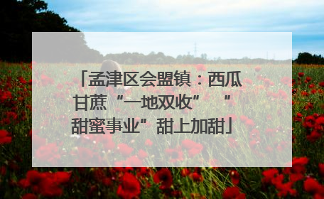 孟津区会盟镇：西瓜甘蔗“一地双收” “甜蜜事业”甜上加甜