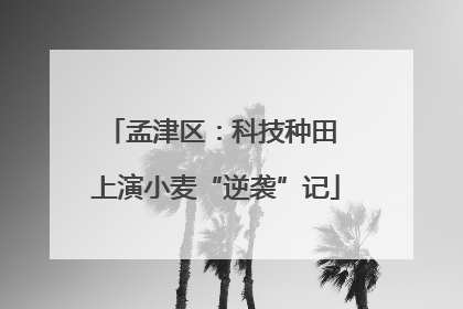 孟津区：科技种田 上演小麦“逆袭”记