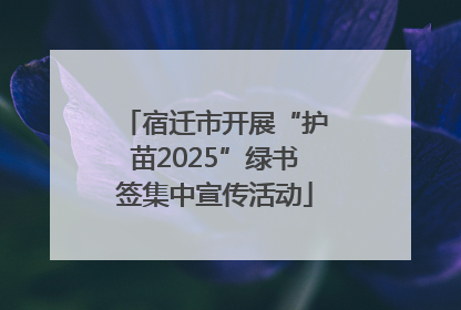 宿迁市开展“护苗2025”绿书签集中宣传活动