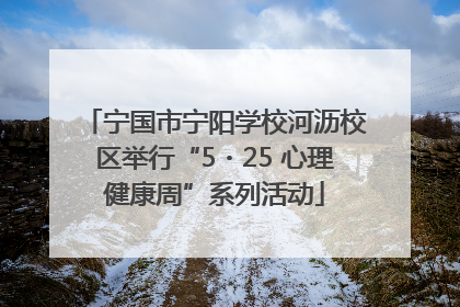 宁国市宁阳学校河沥校区举行“5・25 心理健康周”系列活动