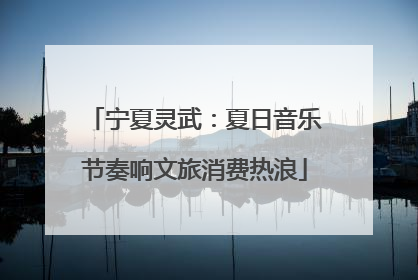 宁夏灵武：夏日音乐节奏响文旅消费热浪