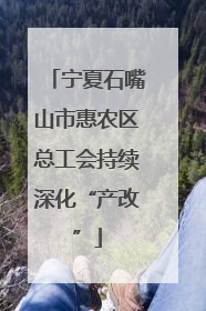 宁夏石嘴山市惠农区总工会持续深化“产改”