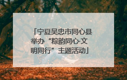 宁夏吴忠市同心县举办“粽韵同心·文明同行”主题活动