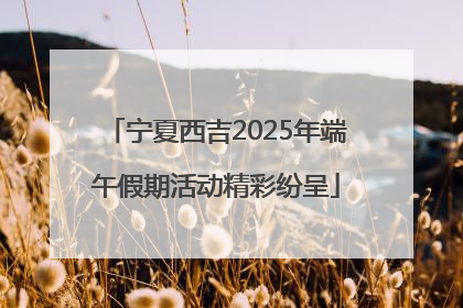 宁夏西吉2025年端午假期活动精彩纷呈