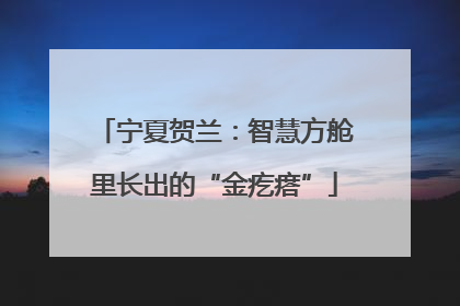 宁夏贺兰：智慧方舱里长出的“金疙瘩”