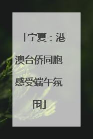 宁夏：港澳台侨同胞感受端午氛围
