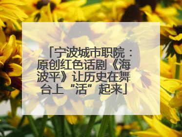 宁波城市职院：原创红色话剧《海波平》让历史在舞台上“活”起来