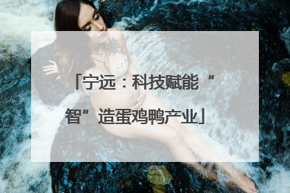宁远：科技赋能“智”造蛋鸡鸭产业
