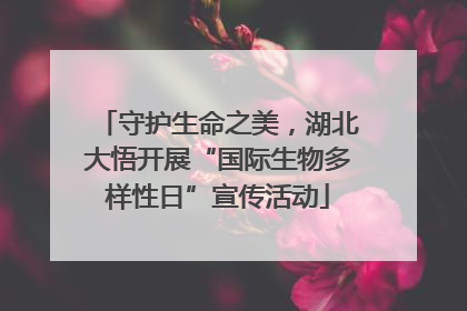 守护生命之美，湖北大悟开展“国际生物多样性日”宣传活动