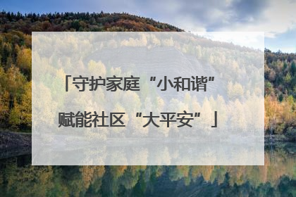 守护家庭“小和谐” 赋能社区“大平安”