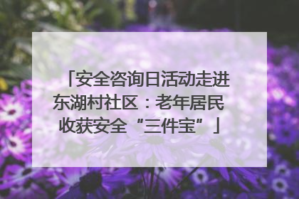 安全咨询日活动走进东湖村社区：老年居民收获安全“三件宝”