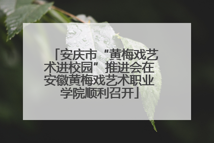 安庆市“黄梅戏艺术进校园”推进会在安徽黄梅戏艺术职业学院顺利召开
