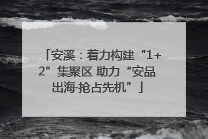 安溪：着力构建“1+2”集聚区 助力“安品出海·抢占先机”