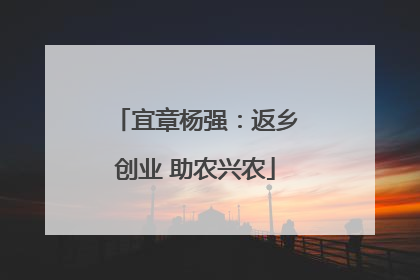 宜章杨强：返乡创业 助农兴农