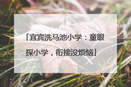 宜宾洗马池小学：童眼探小学，衔接没烦恼