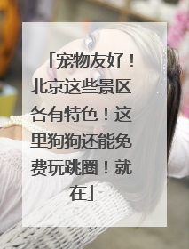 宠物友好！北京这些景区各有特色！这里狗狗还能免费玩跳圈！就在