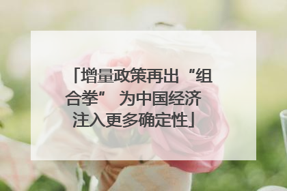 增量政策再出“组合拳” 为中国经济注入更多确定性