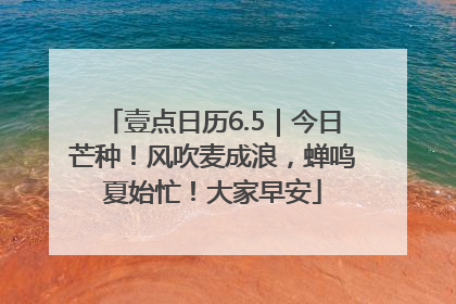 壹点日历6.5｜今日芒种！风吹麦成浪，蝉鸣夏始忙！大家早安