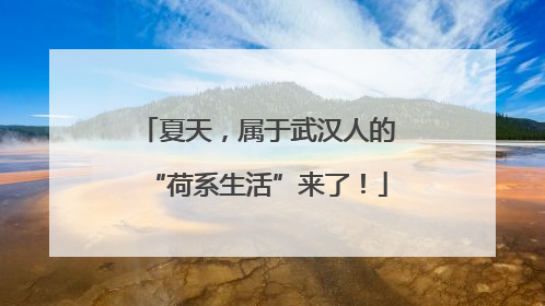夏天，属于武汉人的“荷系生活”来了！