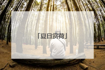 夏日赏荷