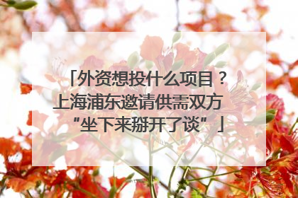 外资想投什么项目？上海浦东邀请供需双方“坐下来掰开了谈”