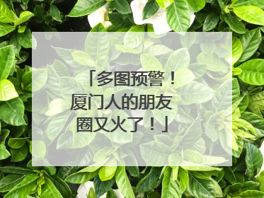多图预警！厦门人的朋友圈又火了！