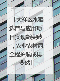 大祥区水稻选育与应用项目实现新突破，农业农村局全程护航成果斐然