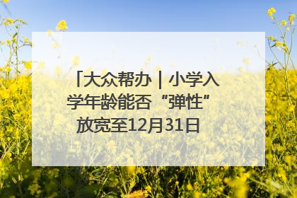 大众帮办｜小学入学年龄能否“弹性”放宽至12月31日？有地方已在探索