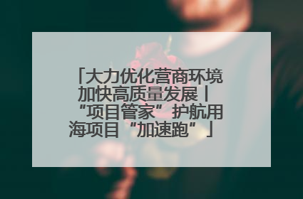 大力优化营商环境 加快高质量发展丨“项目管家”护航用海项目“加速跑”
