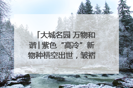 大城名园 万物和谐│紫色“高冷”新物种横空出世，皱褶叶片暗藏进化密码