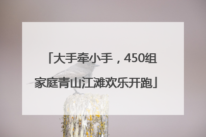 大手牵小手，450组家庭青山江滩欢乐开跑