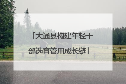 大通县构建年轻干部选育管用成长链