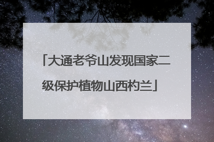 大通老爷山发现国家二级保护植物山西杓兰