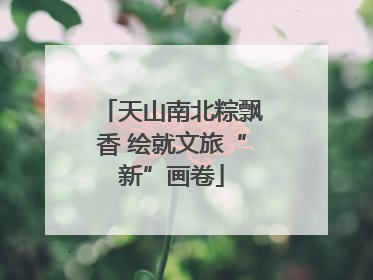 天山南北粽飘香 绘就文旅“新”画卷