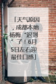 天气原因，成都本地杨梅“迟到”了！6月5日左右迎最佳口感