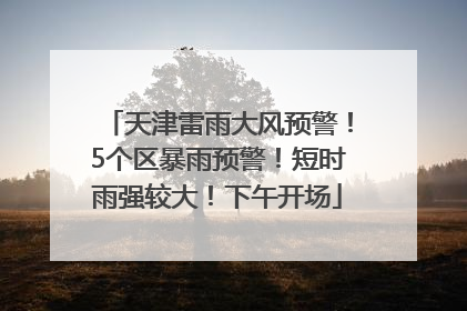 天津雷雨大风预警！5个区暴雨预警！短时雨强较大！下午开场