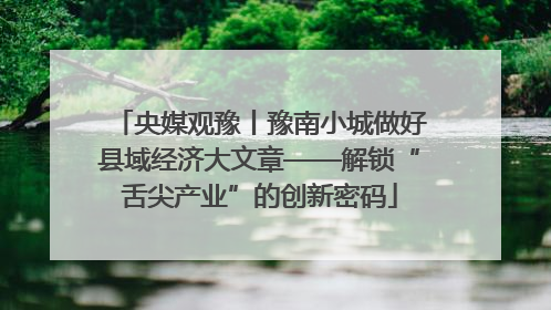 央媒观豫丨豫南小城做好县域经济大文章——解锁“舌尖产业”的创新密码