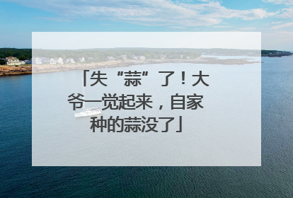 失“蒜”了！大爷一觉起来，自家种的蒜没了
