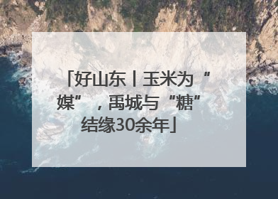 好山东丨玉米为“媒”，禹城与“糖”结缘30余年