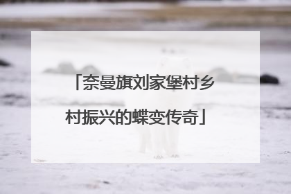 奈曼旗刘家堡村乡村振兴的蝶变传奇